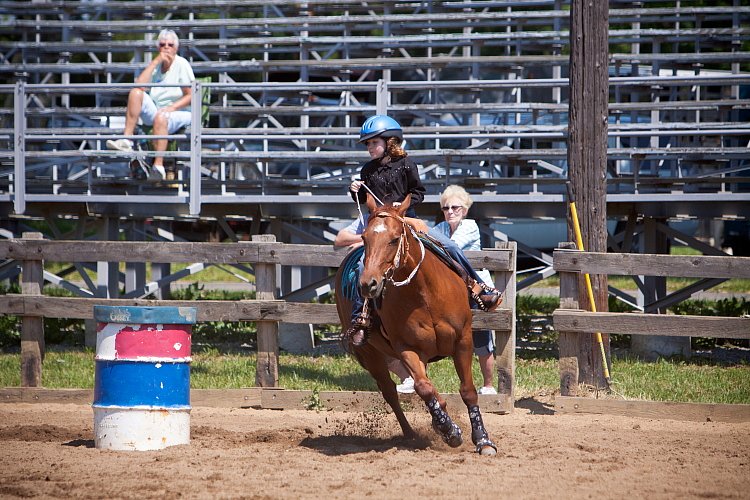 4H-Fun-Show-060912-400.JPG