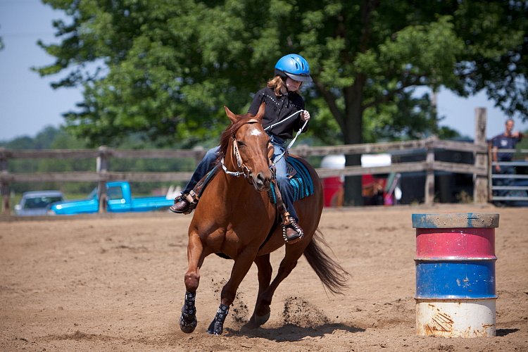 4H-Fun-Show-060912-401.JPG