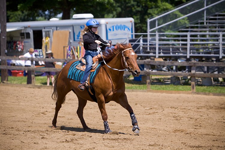 4H-Fun-Show-060912-405.JPG