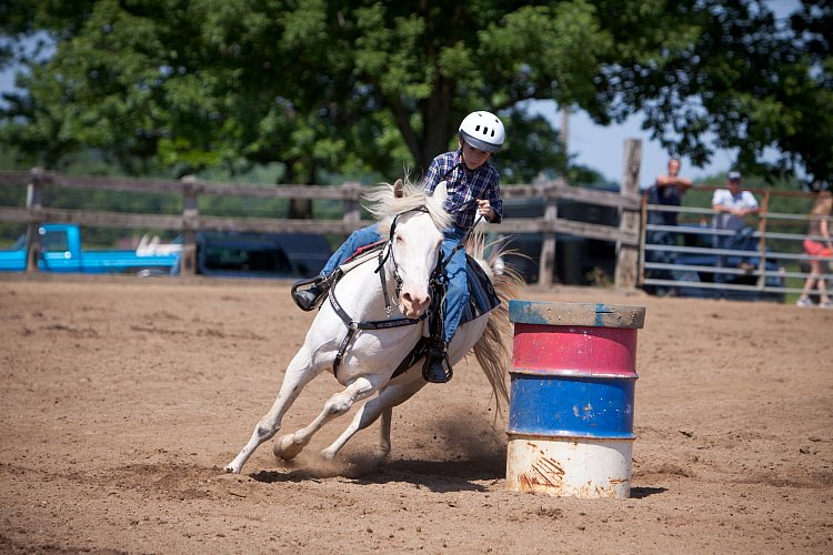 4H-Fun-Show-060912-406.JPG