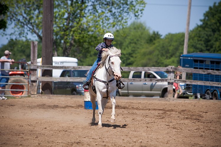 4H-Fun-Show-060912-408.JPG