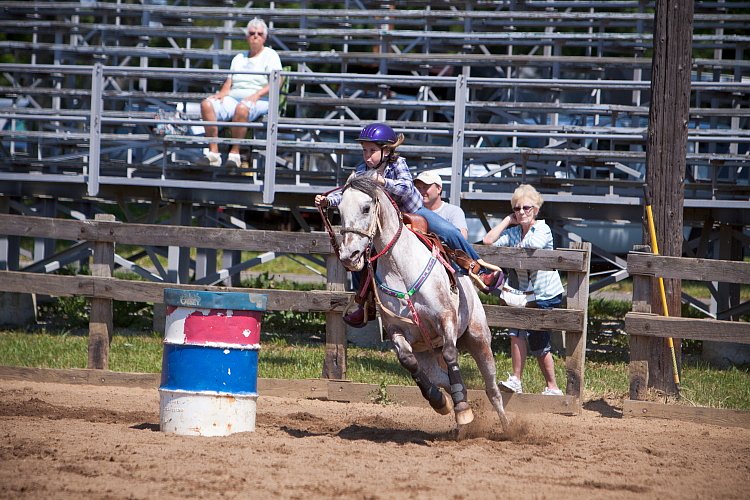 4H-Fun-Show-060912-418.JPG