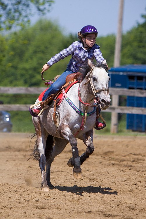 4H-Fun-Show-060912-420.JPG