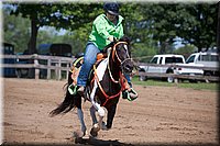 4H-Fun-Show-060912-377.JPG