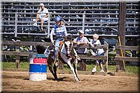 4H-Fun-Show-060912-396.JPG