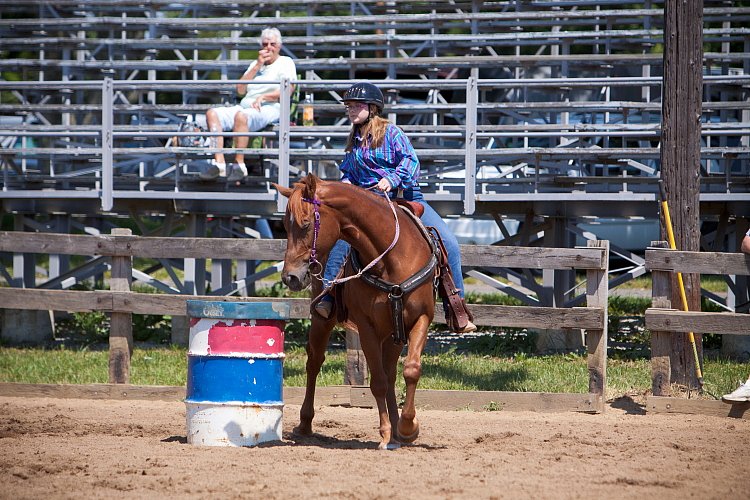 4H-Fun-Show-060912-429.JPG