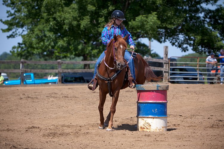 4H-Fun-Show-060912-430.JPG