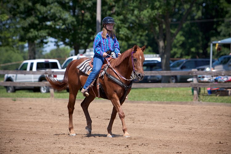 4H-Fun-Show-060912-432.JPG