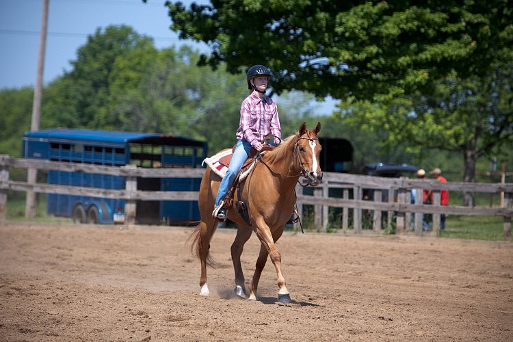 4H-Fun-Show-060912-438.JPG