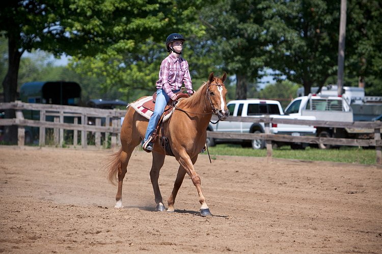 4H-Fun-Show-060912-439.JPG