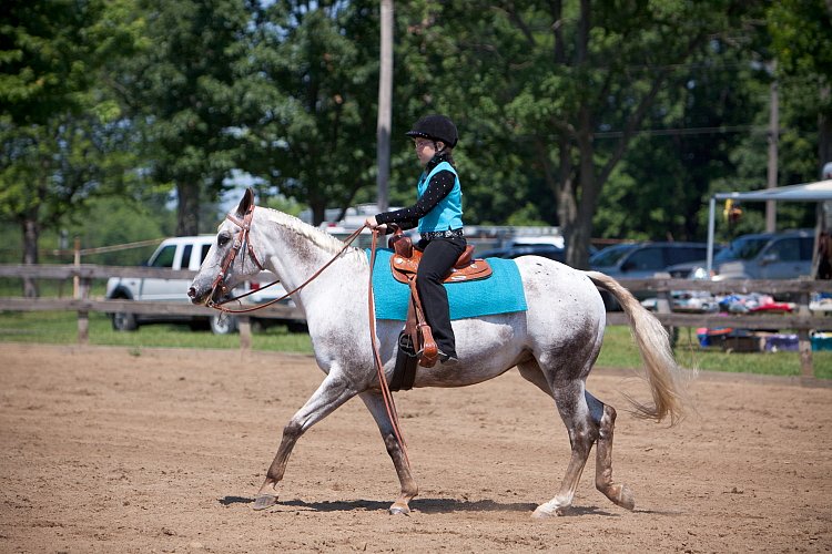 4H-Fun-Show-060912-441.JPG