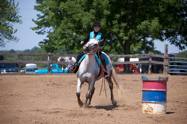 4H-Fun-Show-060912-442.JPG