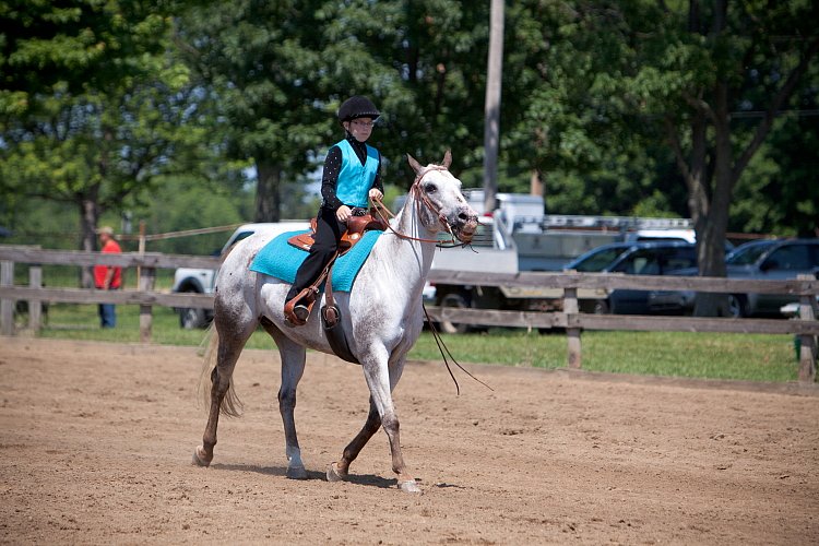 4H-Fun-Show-060912-444.JPG