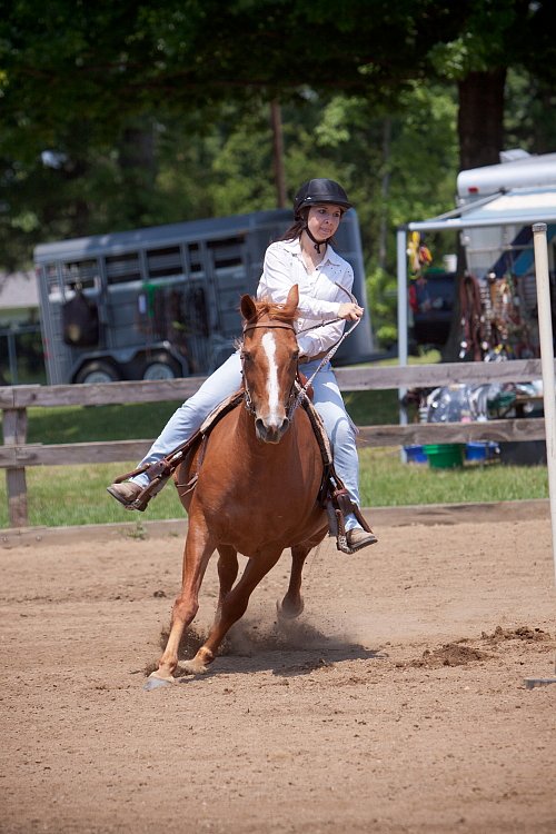 4H-Fun-Show-060912-540.JPG