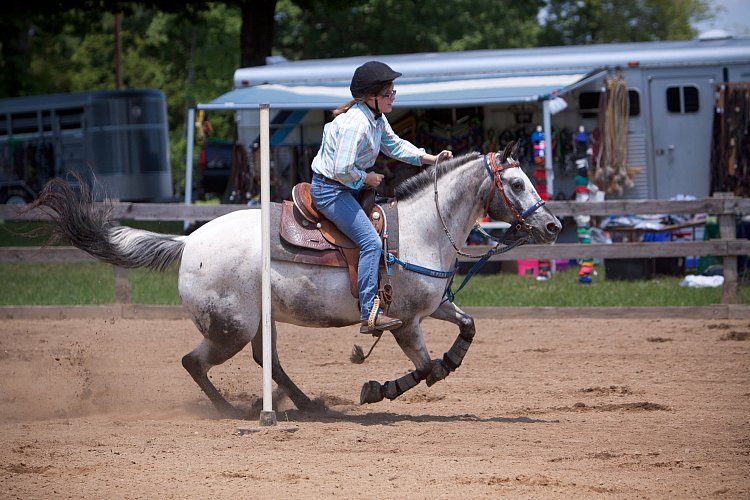 4H-Fun-Show-060912-543.JPG