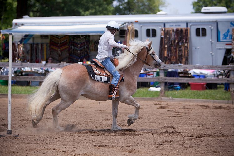 4H-Fun-Show-060912-545.JPG