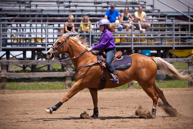 4H-Fun-Show-060912-548.JPG