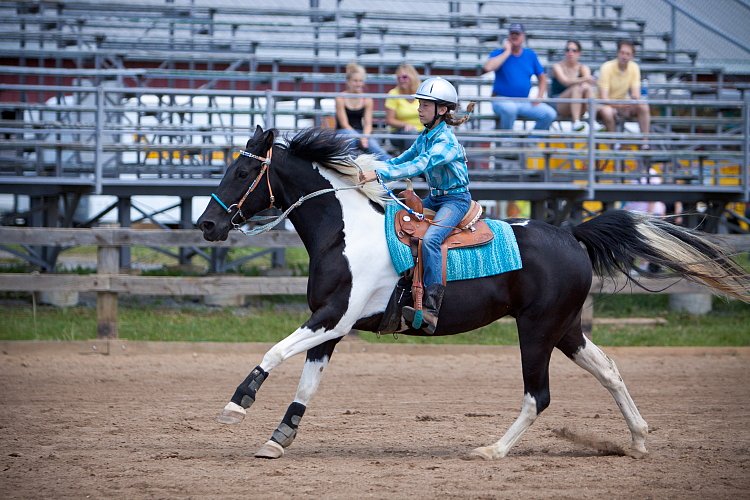 4H-Fun-Show-060912-555.JPG