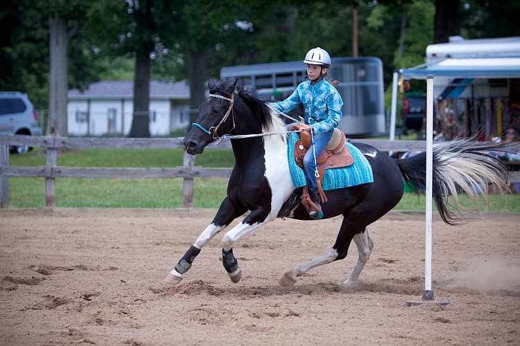 4H-Fun-Show-060912-556.JPG