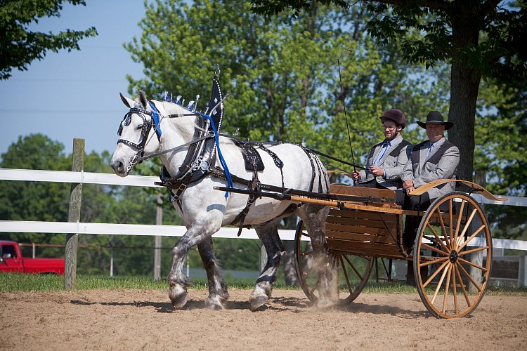 4H-Fun-Show-060912-226.JPG