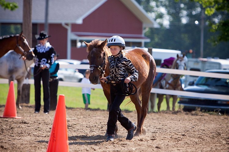 4H-Fun-Show-060912-105.JPG