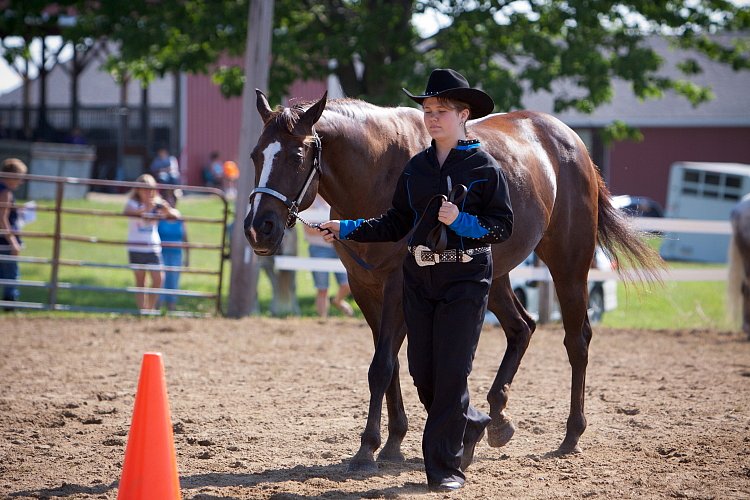 4H-Fun-Show-060912-113.JPG