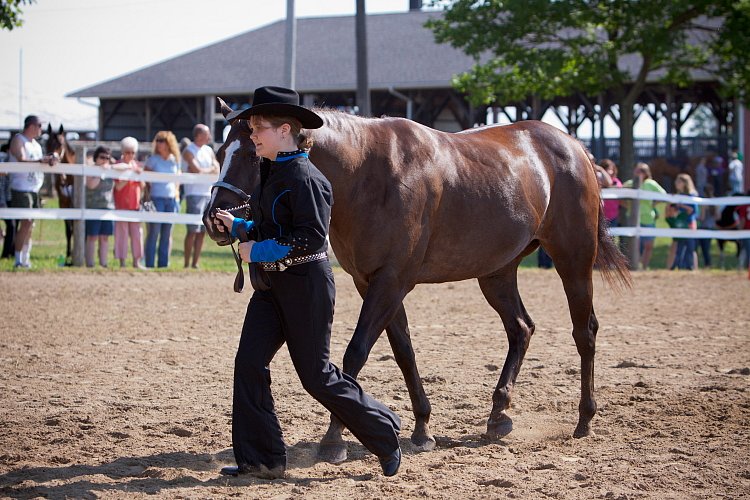 4H-Fun-Show-060912-114.JPG