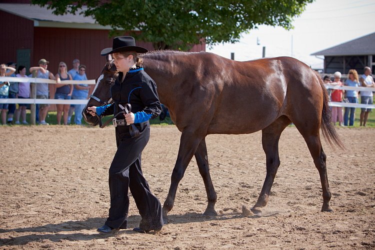 4H-Fun-Show-060912-115.JPG