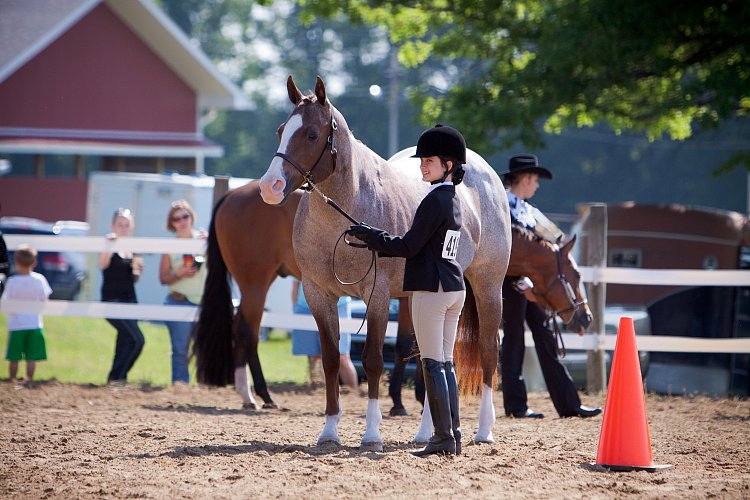 4H-Fun-Show-060912-120.JPG