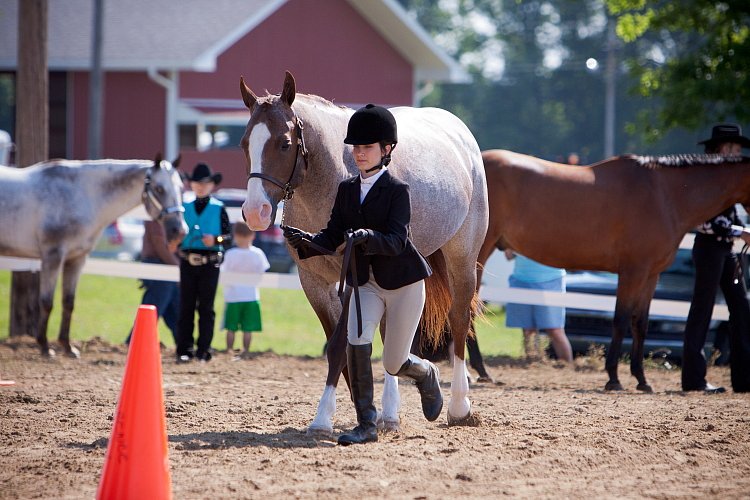 4H-Fun-Show-060912-121.JPG