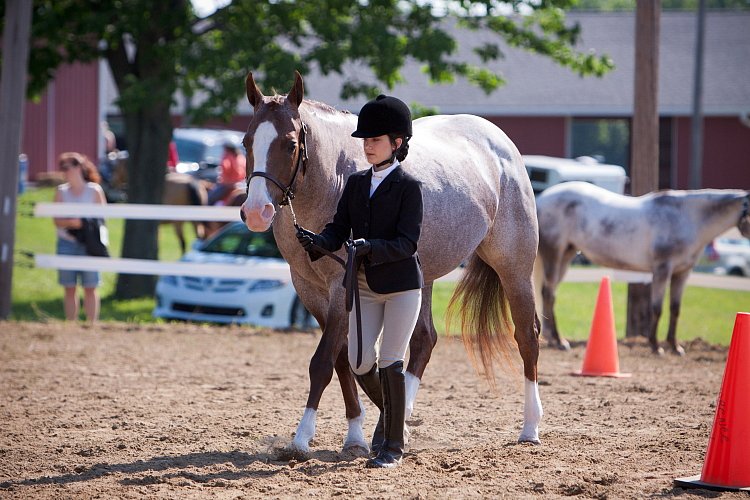 4H-Fun-Show-060912-122.JPG