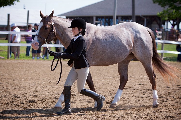 4H-Fun-Show-060912-123.JPG