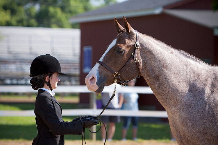 4H-Fun-Show-060912-125.JPG