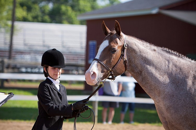 4H-Fun-Show-060912-126.JPG