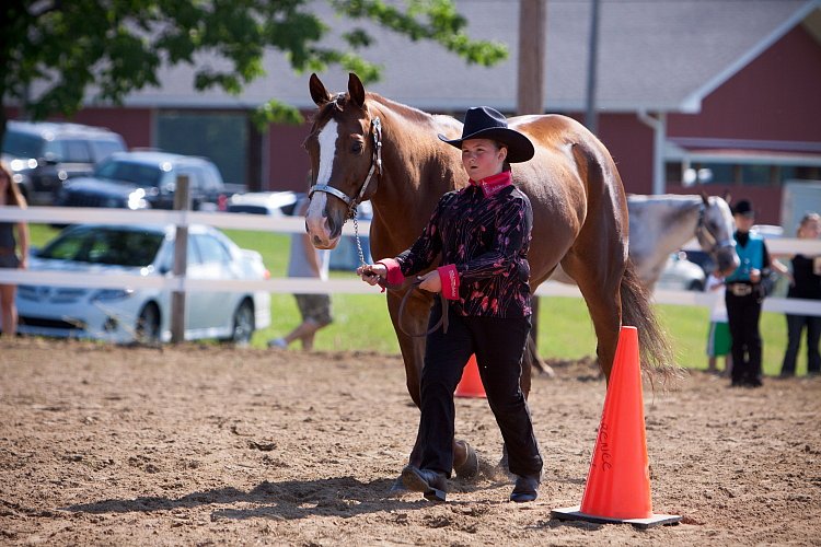 4H-Fun-Show-060912-130.JPG