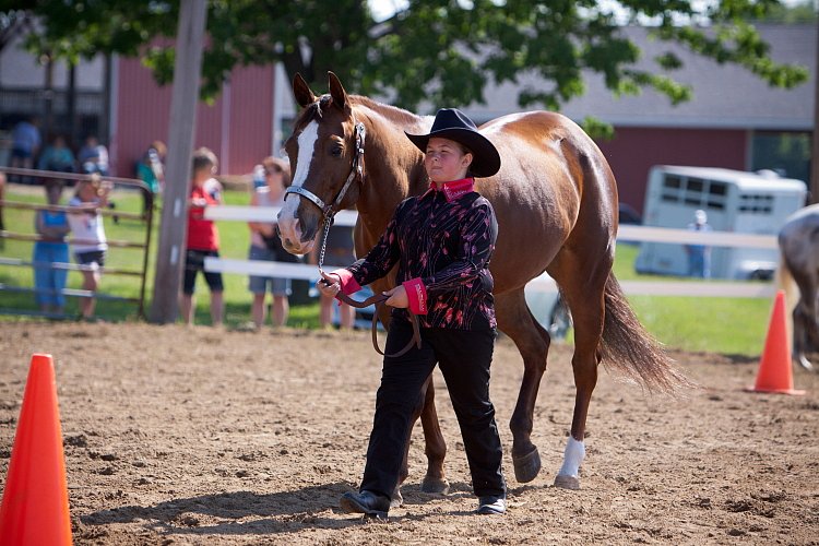 4H-Fun-Show-060912-131.JPG