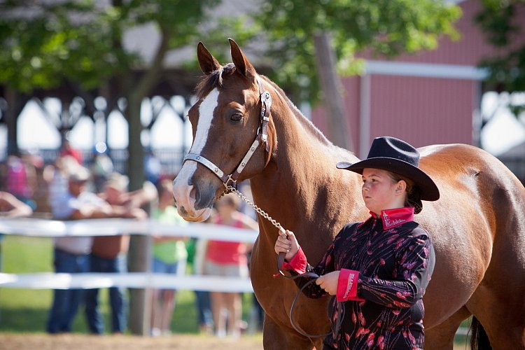 4H-Fun-Show-060912-132.JPG