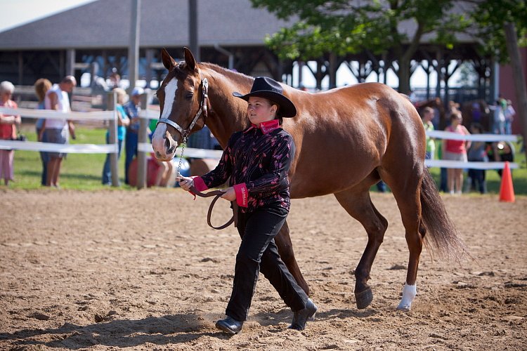 4H-Fun-Show-060912-133.JPG