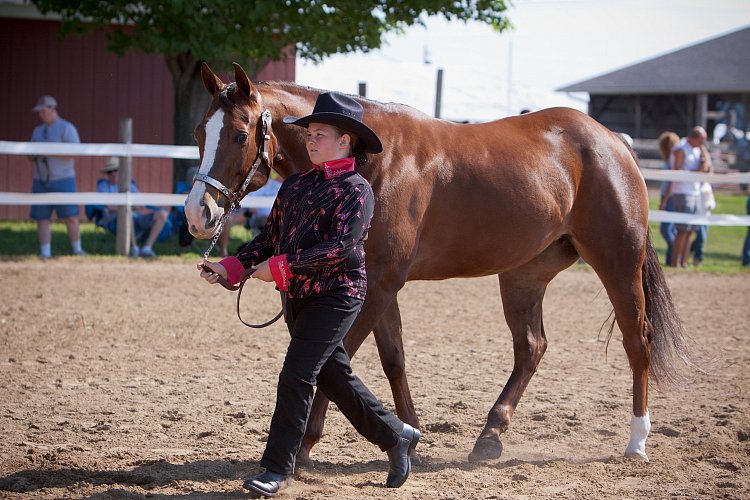 4H-Fun-Show-060912-134.JPG