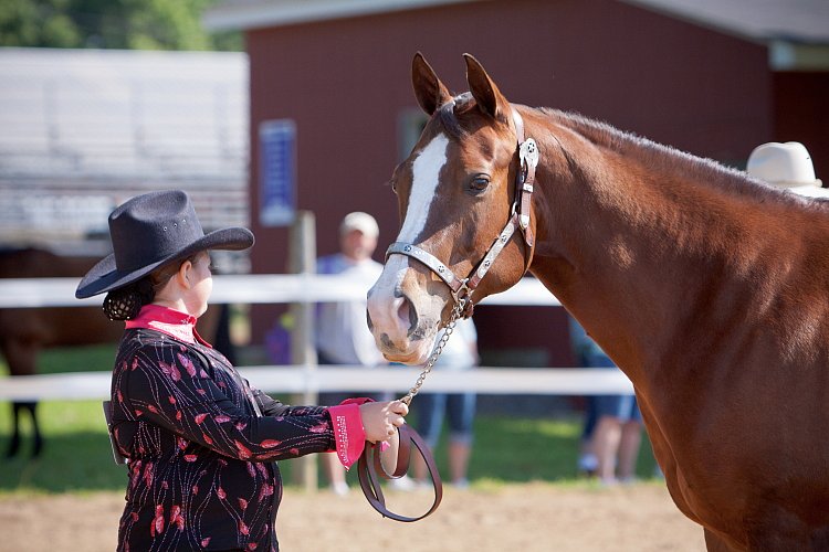 4H-Fun-Show-060912-135.JPG