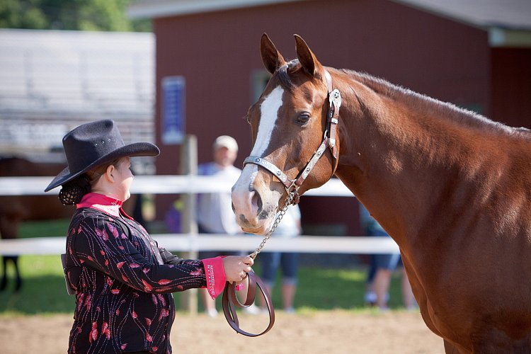 4H-Fun-Show-060912-136.JPG