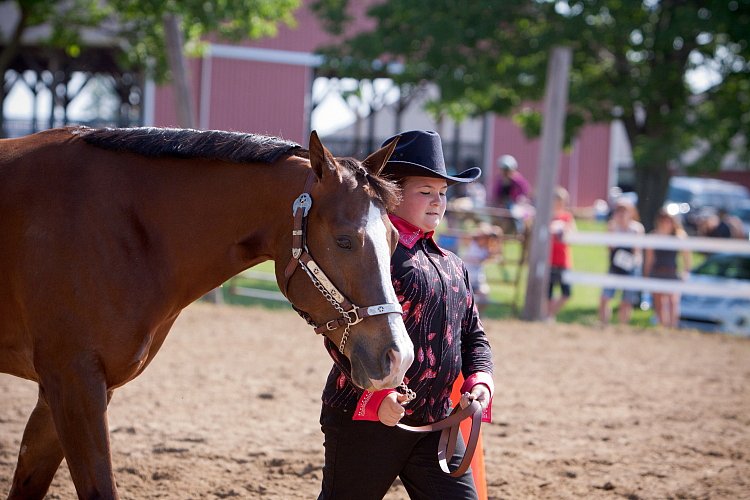 4H-Fun-Show-060912-137.JPG