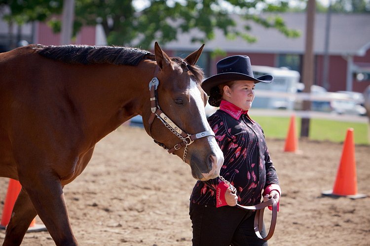 4H-Fun-Show-060912-138.JPG