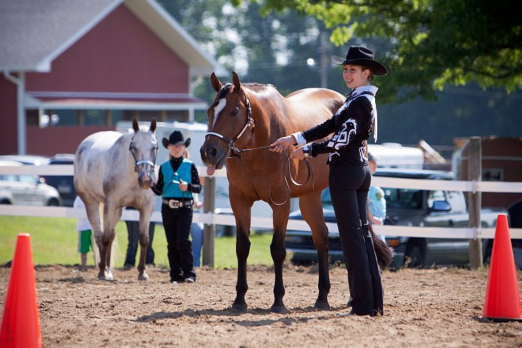 4H-Fun-Show-060912-139.JPG