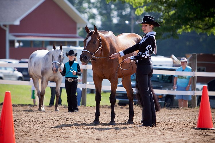 4H-Fun-Show-060912-140.JPG