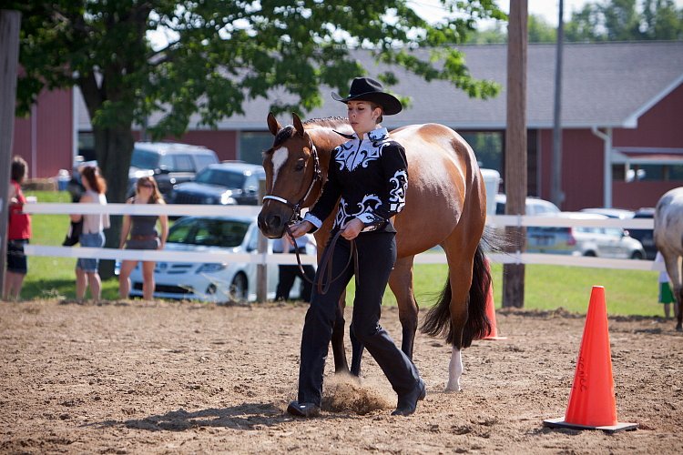 4H-Fun-Show-060912-142.JPG