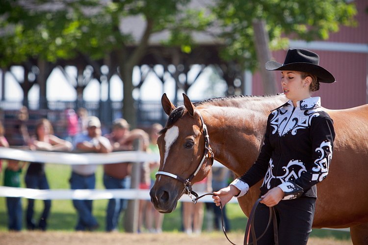 4H-Fun-Show-060912-143.JPG