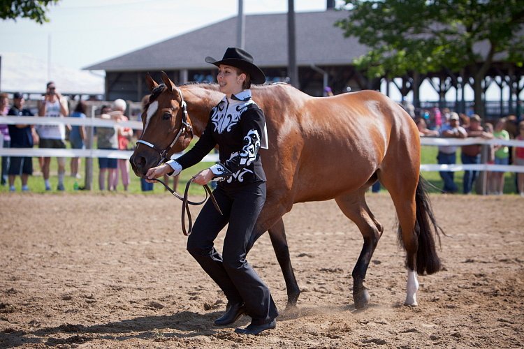 4H-Fun-Show-060912-144.JPG