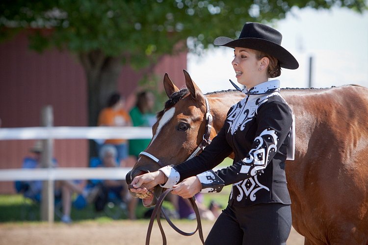 4H-Fun-Show-060912-145.JPG