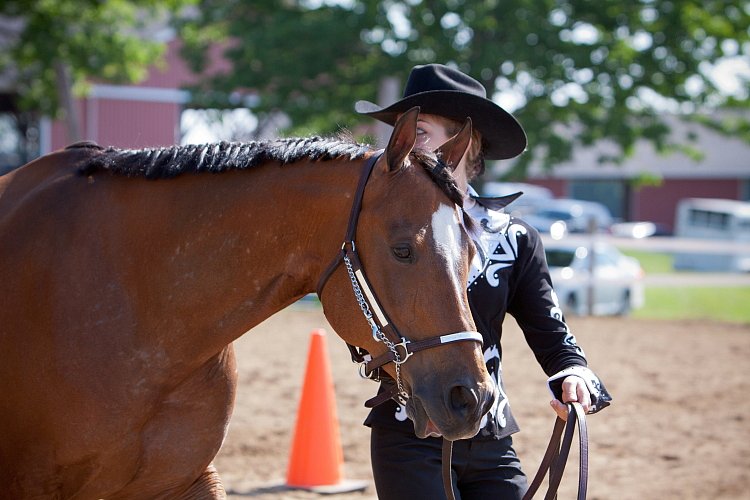 4H-Fun-Show-060912-148.JPG